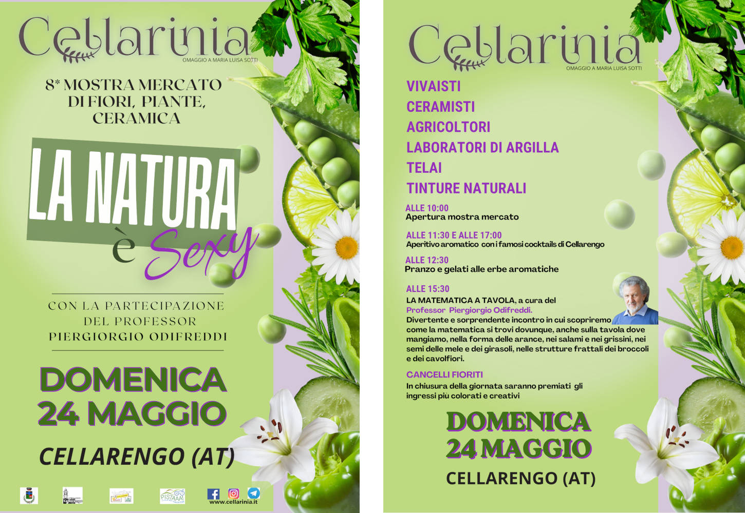 Cellarinia 2025 - VII Mostra Mercato DI FIORI, PIANTE e CERAMICA - PER BACCO, CHE OLIO